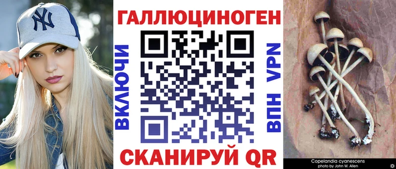Псилоцибиновые грибы Psilocybine cubensis  Ликино-Дулёво 